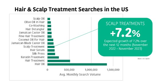 Graph Hair and Scalp Treatment Searches in the US
